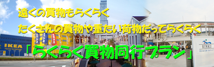 遠くでも楽々買物同行プラン